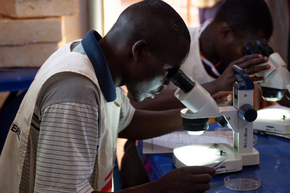 Julien Riyazimana et Paul Tuyininahaze cherchent à savoir si les moustiques sous microscope sont porteurs de la malaria, dans le camp de réfugiés de Nduta, en Tanzanie. Chaque année, nos équipes effectuent un recensement complet. Grâce à cette analyse, il est possible de créer des cartes des moustiques afin d'identifier les zones où les moustiques sont les plus infectés et de déterminer la meilleure façon d'arrêter la propagation de la maladie. © Cynthia D'Cruz, mars 2022