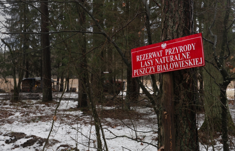 Gemilitariseerde grens tussen Polen en Wit-Rusland Natuurpark Kozie Borki