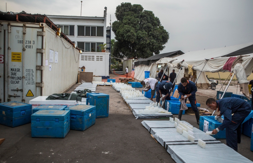 AZG zet grote middelen in om de Congolese autoriteiten bij te staan in hun strijd tegen gele koorts. 